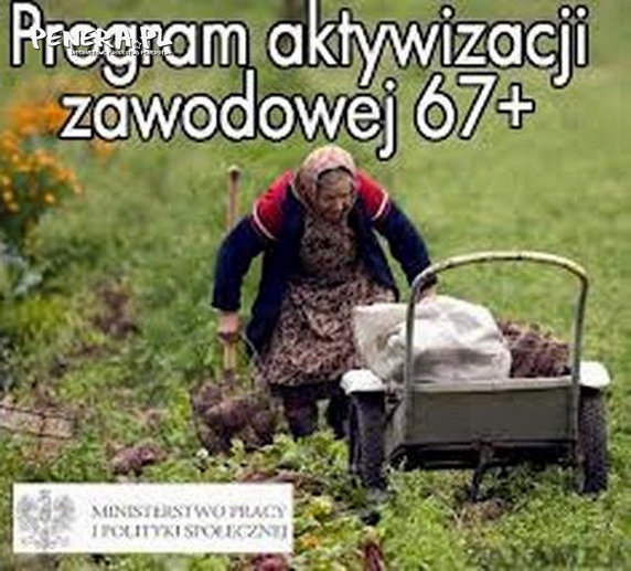 Program aktywizacji zawodowej 67