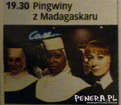 Pingwiny z Madagaskaru