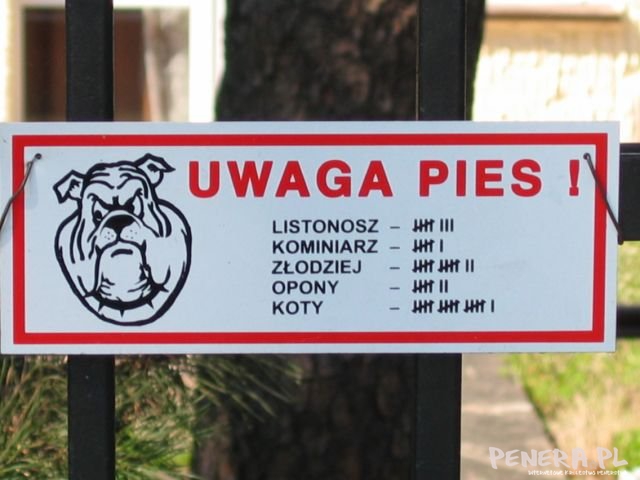 Uwaga pies