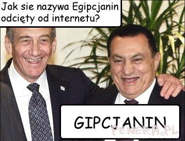 Jak się nazywa Egipcjanin odcięty od internetu?