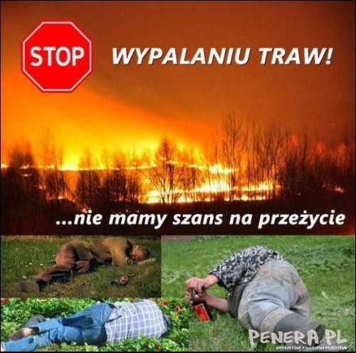 Stop Wypalaniu traw