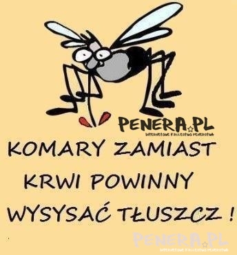 Komary zamiast krwi powinny wysysać