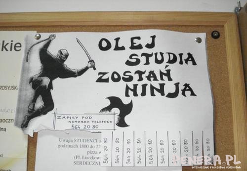 Olej studia zostań ninja