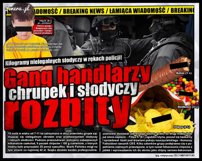 Gang handlarzy chrupek rozbity