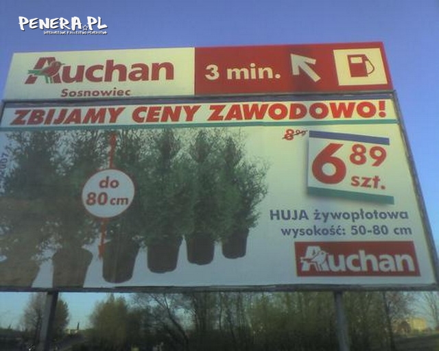 Takie rzeczy tylko w Auchan Sosnowiec