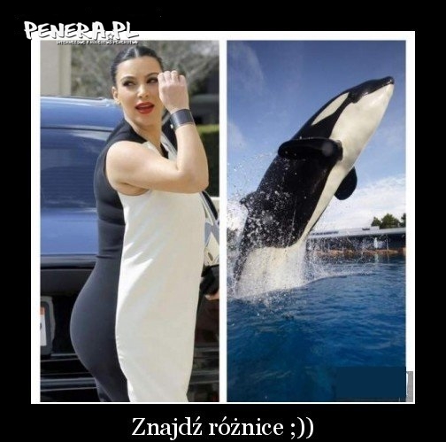 Znajdź różnice