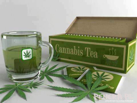 Cannabis Tea - już niebawem w sprzedaży