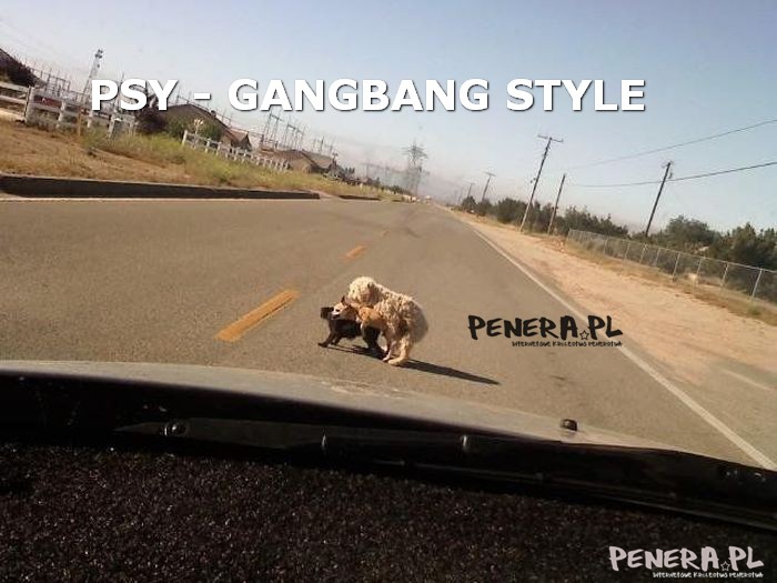 PSY - GANGBANG STYLE