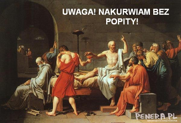 Uwaga nakurwiam bez popity!