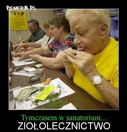 Zajęcia z ziołoleczictwa