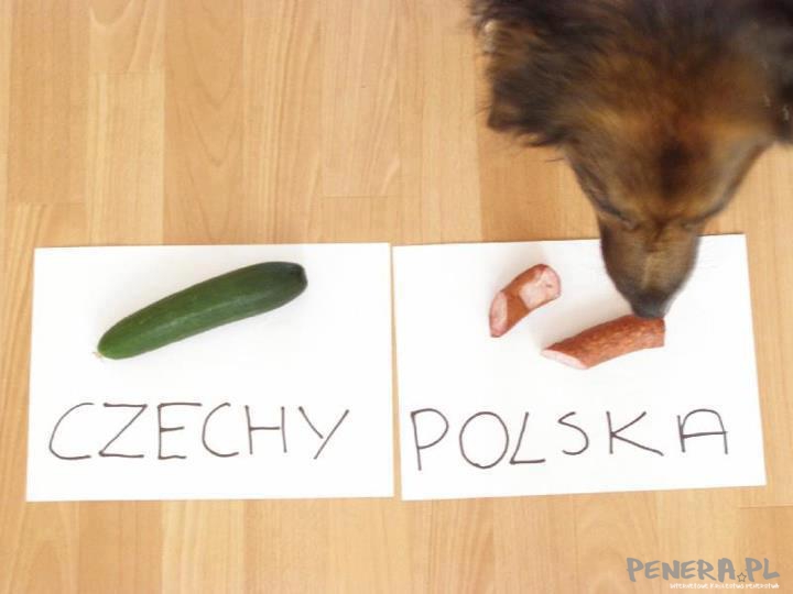 Może on się nie pomyli...