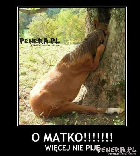 O matko!