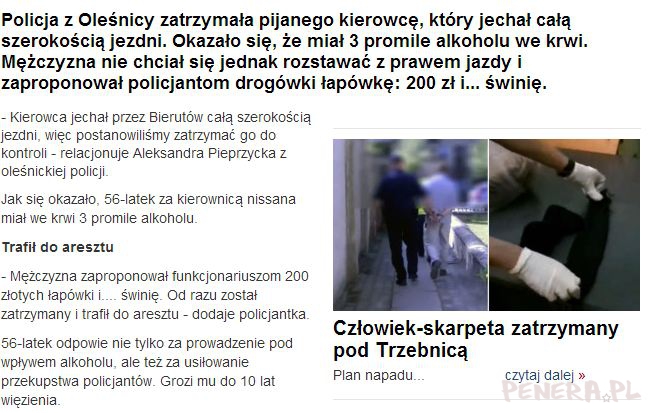 Pijany kierowca proponował policji 200 zł i świnię