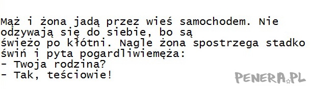 Kawał - Mąż i żona jadą przez wieś samochodem