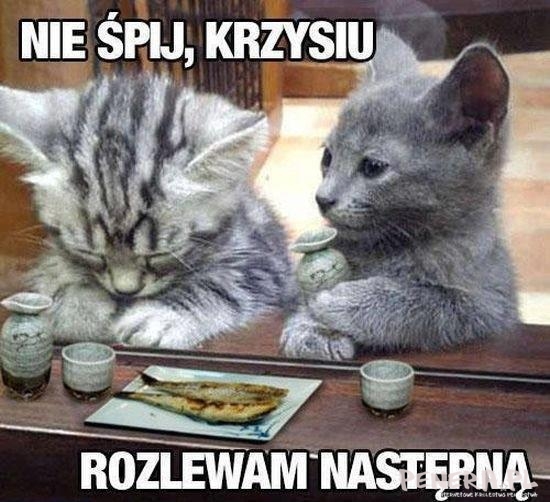 Nie śpij Krzysiu