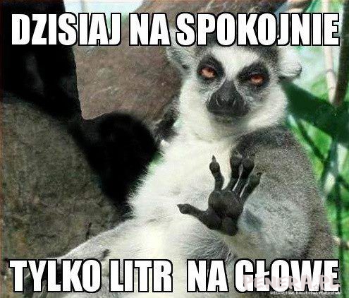 Dzisiaj na spokojnie tylko litra na głowe