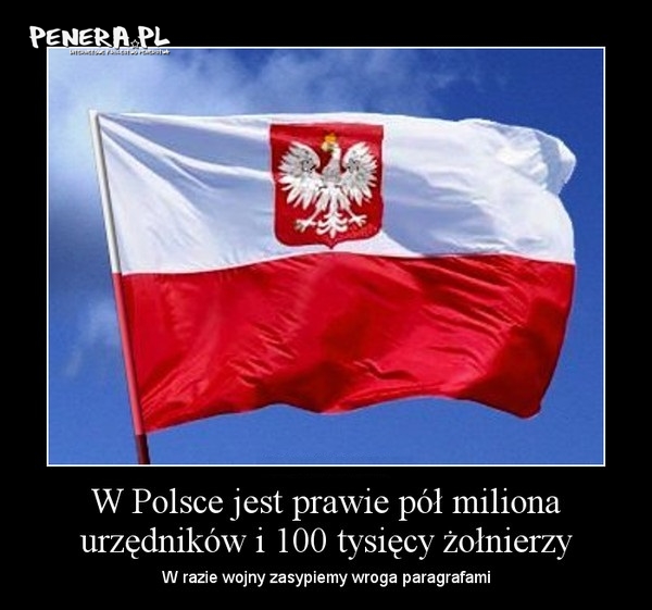 Nie będą mieli szans