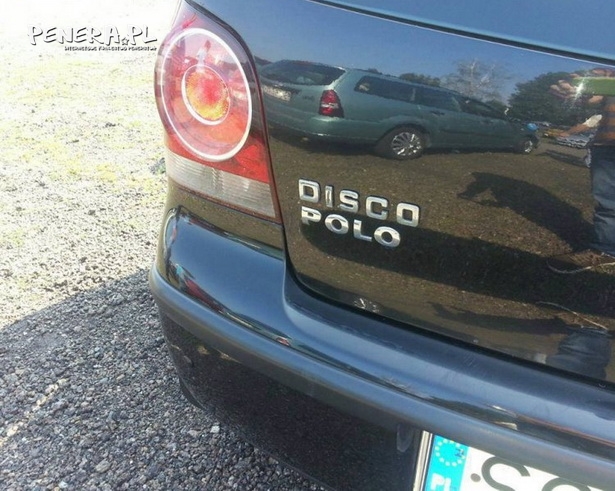 Fan disco polo