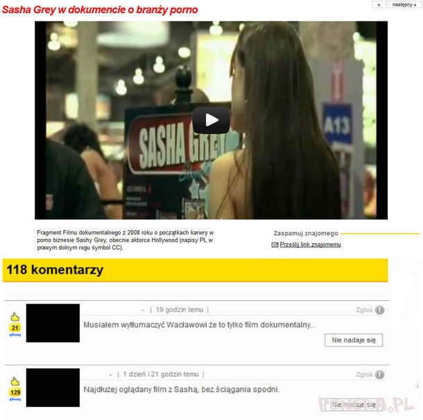 Sasha Grey i bardzo trafny komentarz