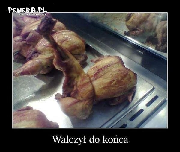 Walczył do końca