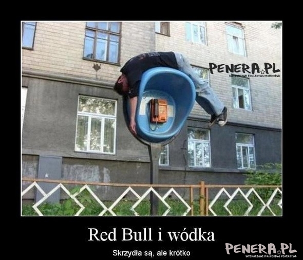 Red Bull i wódka