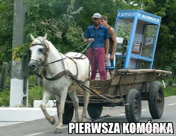 Pierwsza komórka