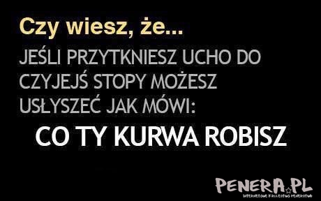 czy wiesz ze ...