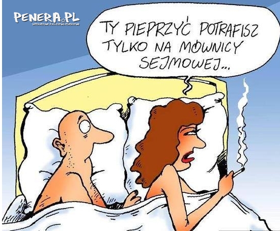 Polityk i pieprzenie