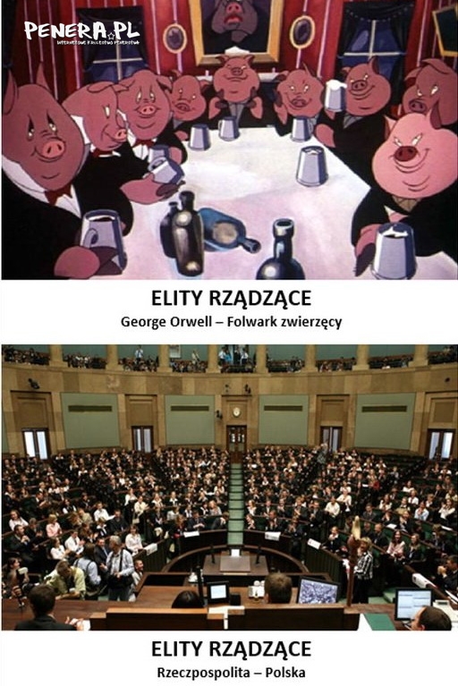 Elity rządzące