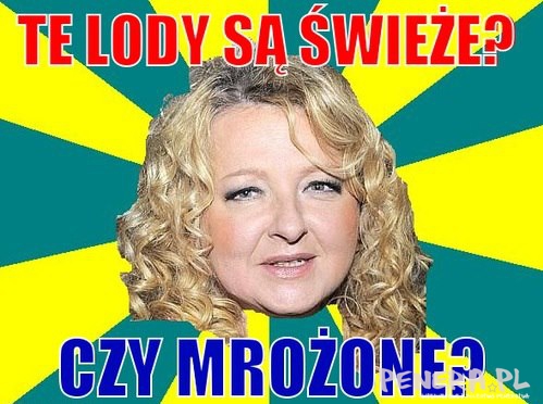 Te lody są świeże czy mrożone?