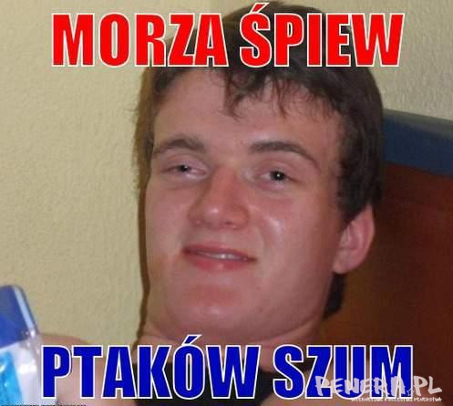 Morza śpiew ptaków szum