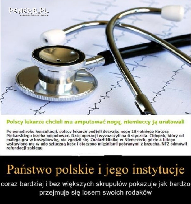 Państwo polskie i jego instytucje