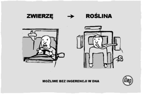 Zwierzę - roślina możliwe bez ingerencji w DNA