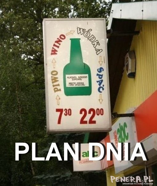 Plan dnia