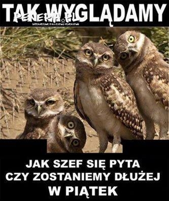 Tak wyglądamy