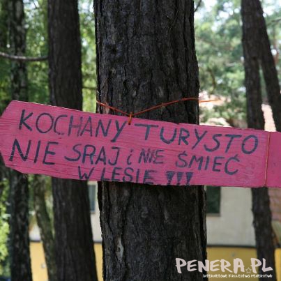 Kochany turysto - nie sraj i nie śmieć w lesie!