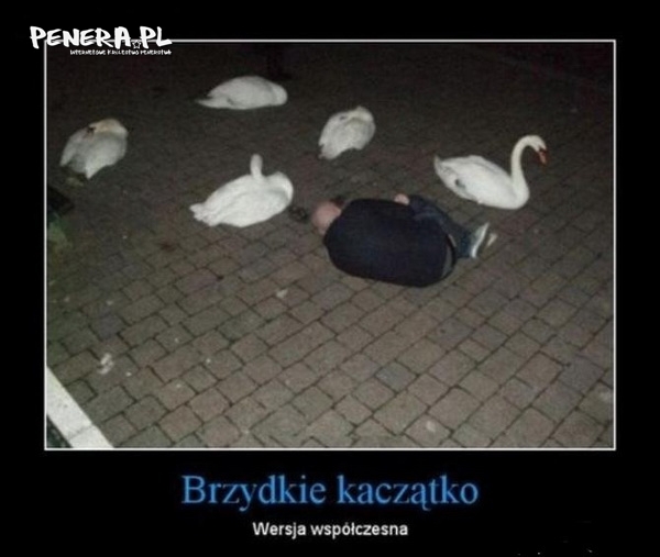 Brzydkie kaczątko