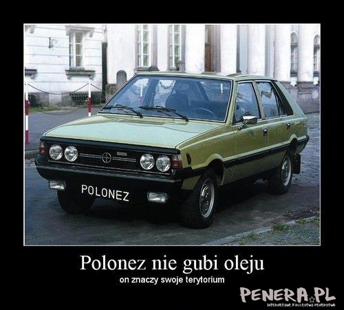 Polonez nie gubi oleju...