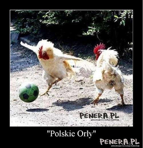 Polskie Orły