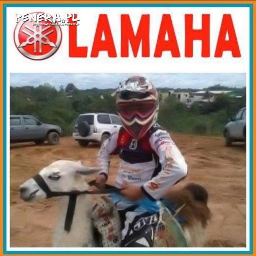 Lamaha