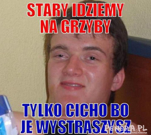 Stary idziemy na grzyby