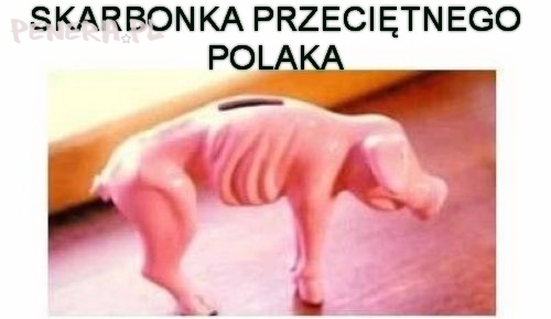 Skarbonka przeciętnego polaka