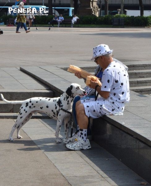 Ponoć jaki Pan taki pies