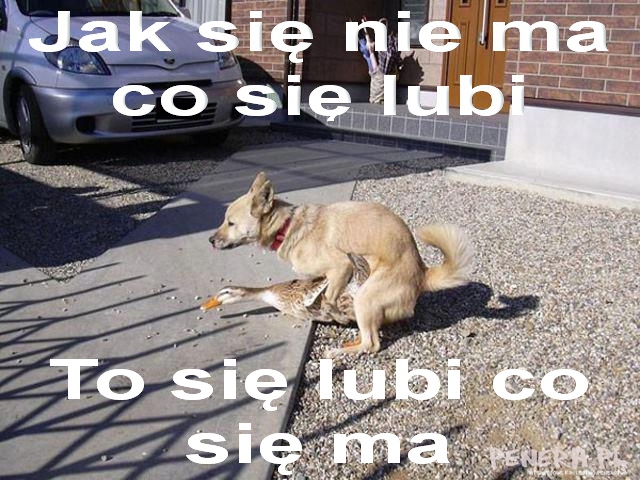 Jak się nie ma co się lubi