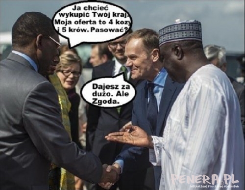 Tusk robi interesy w Nigerii