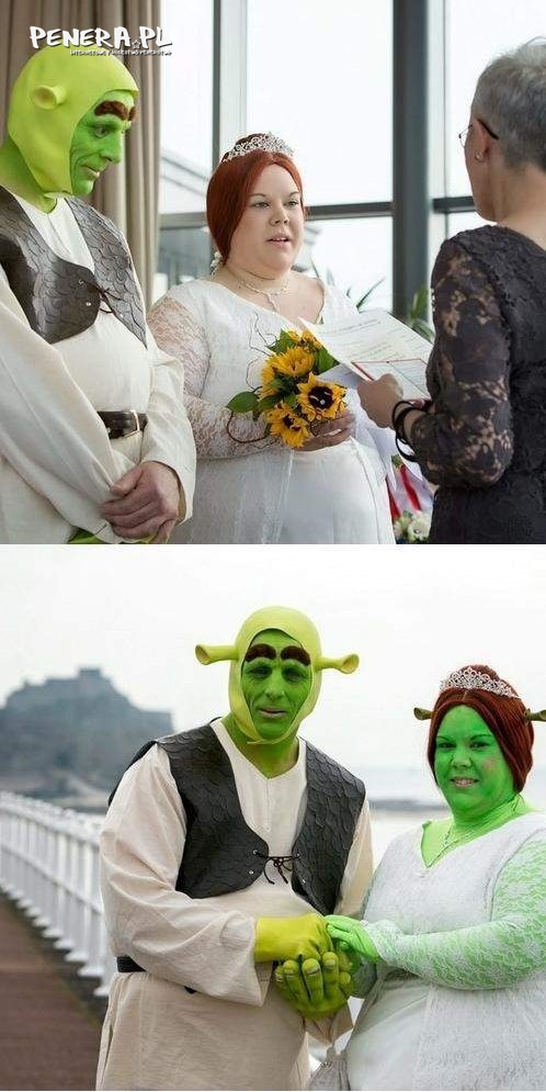 Shrek i fiona