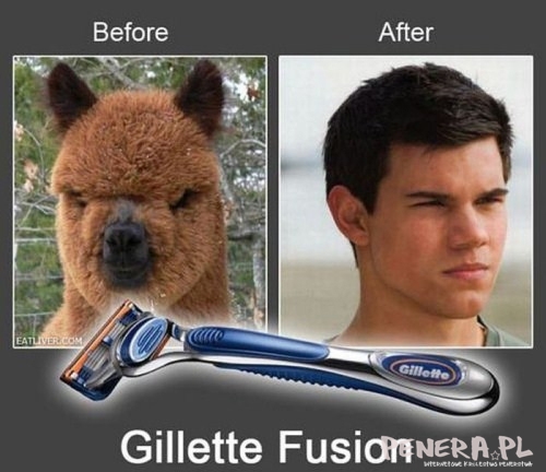 Gillete fusion