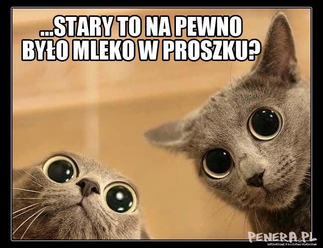 Tak działa mleko w proszku