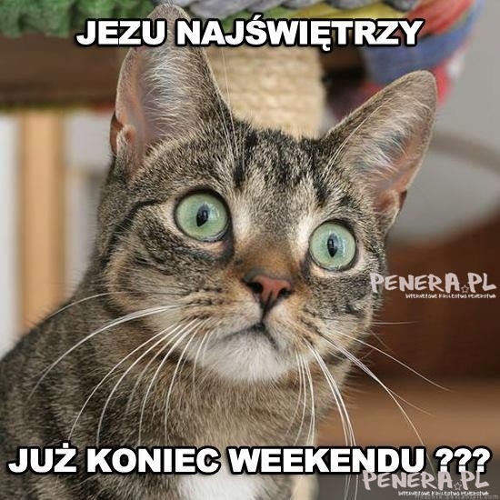 Koniec weekendu?!