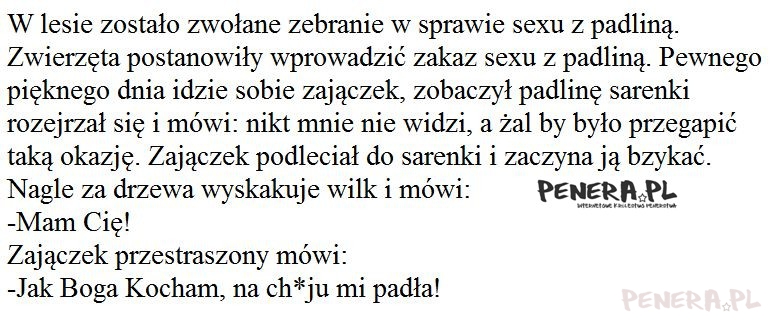 Kawał - W lesie zostało zwołane zebranie w sprawie